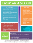 Valpak Agile Flyer